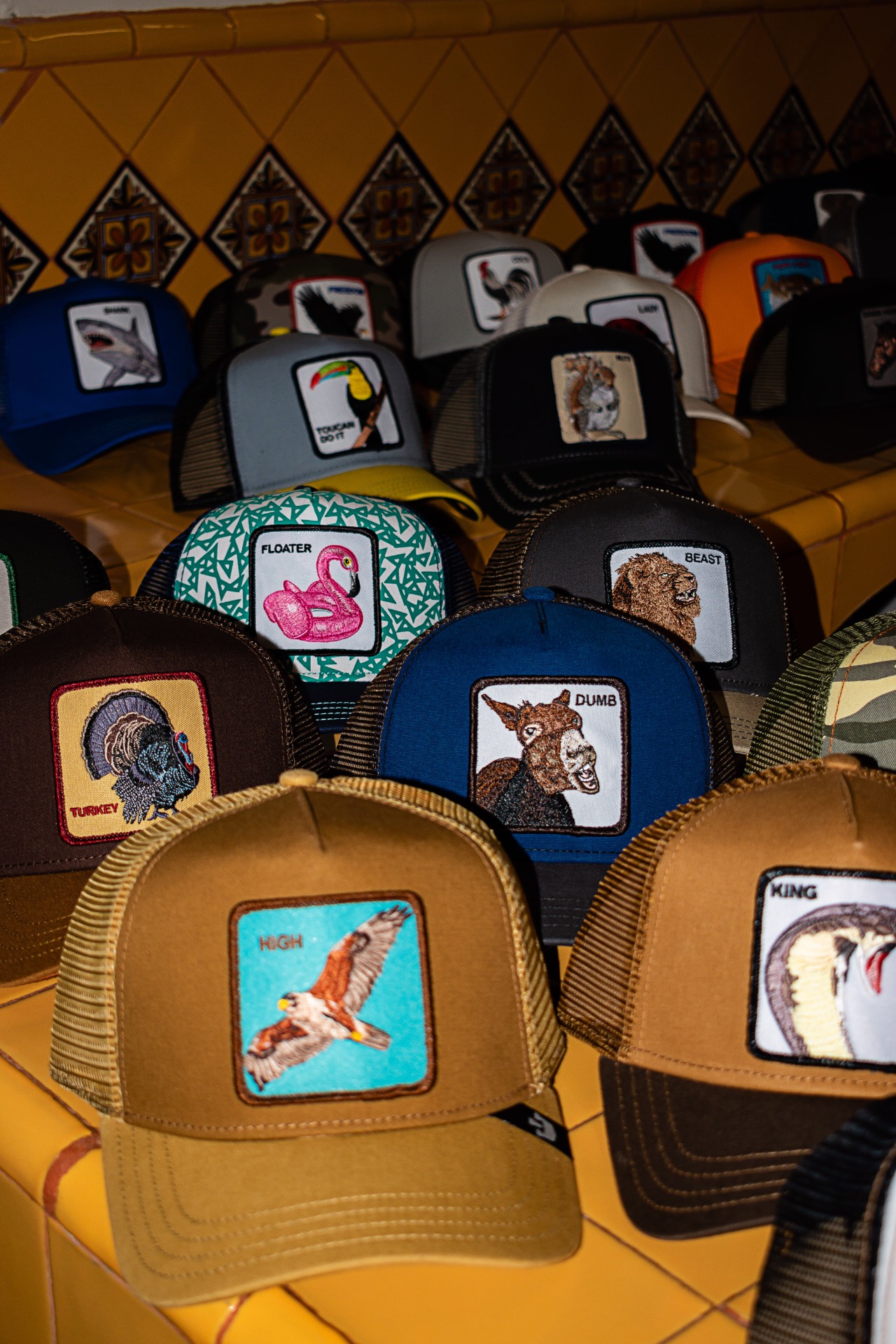 ILUMINACIÓN: Flash ÁNGULO DE TOMA: Normal TIPO DE CÁMARA: Nikon D5600 APERTURA: F/4.5 VELOCIDAD: 1/200s ISO: 200 LUGAR: Tlatlauquitepec, Puebla FECHA DE CREACIÓN: 14/10/2020