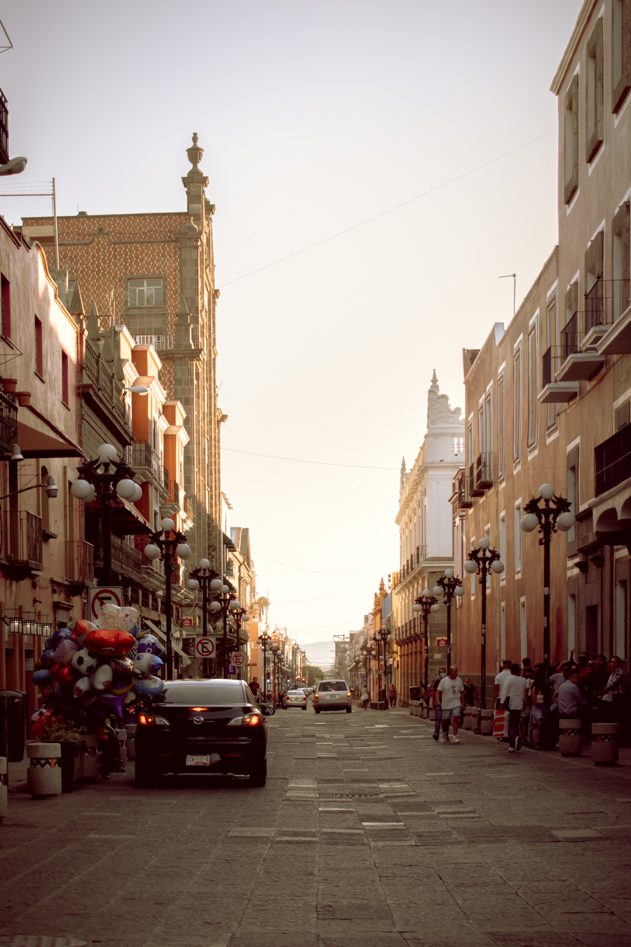 ILUMINACIÓN: Natural ÁNGULO DE TOMA: Normal TIPO DE CÁMARA: Nikon D5600 APERTURA: F/6.3 VELOCIDAD: 1/500s ISO: 640 LUGAR: Puebla FECHA DE CREACIÓN: 05/02/2023
