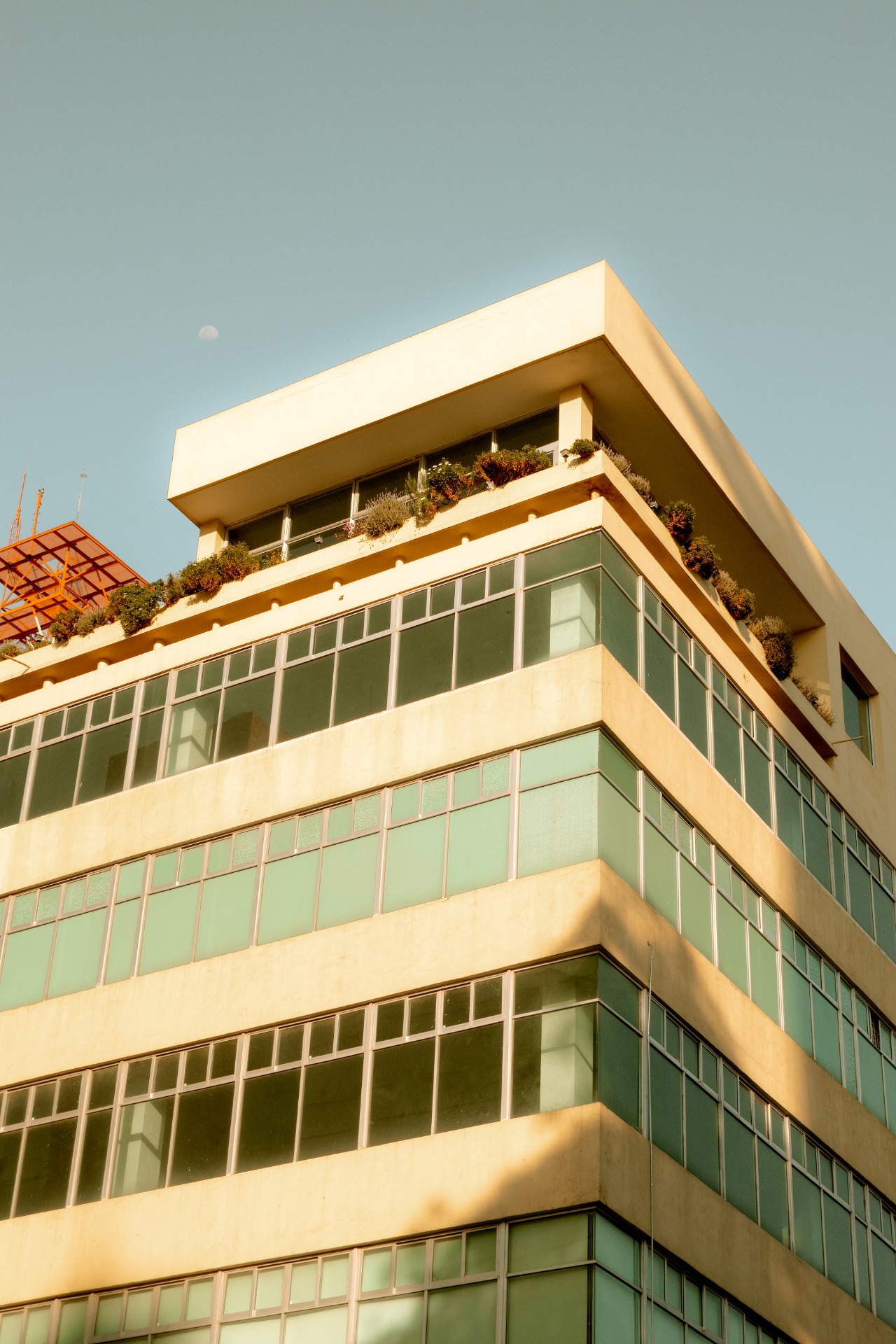 ILUMINACIÓN: Natural ÁNGULO DE TOMA: Normal TIPO DE CÁMARA: Nikon D5600 APERTURA: F/10 VELOCIDAD: 1/640s ISO: 500 LUGAR: Puebla FECHA DE CREACIÓN: 05/02/2023