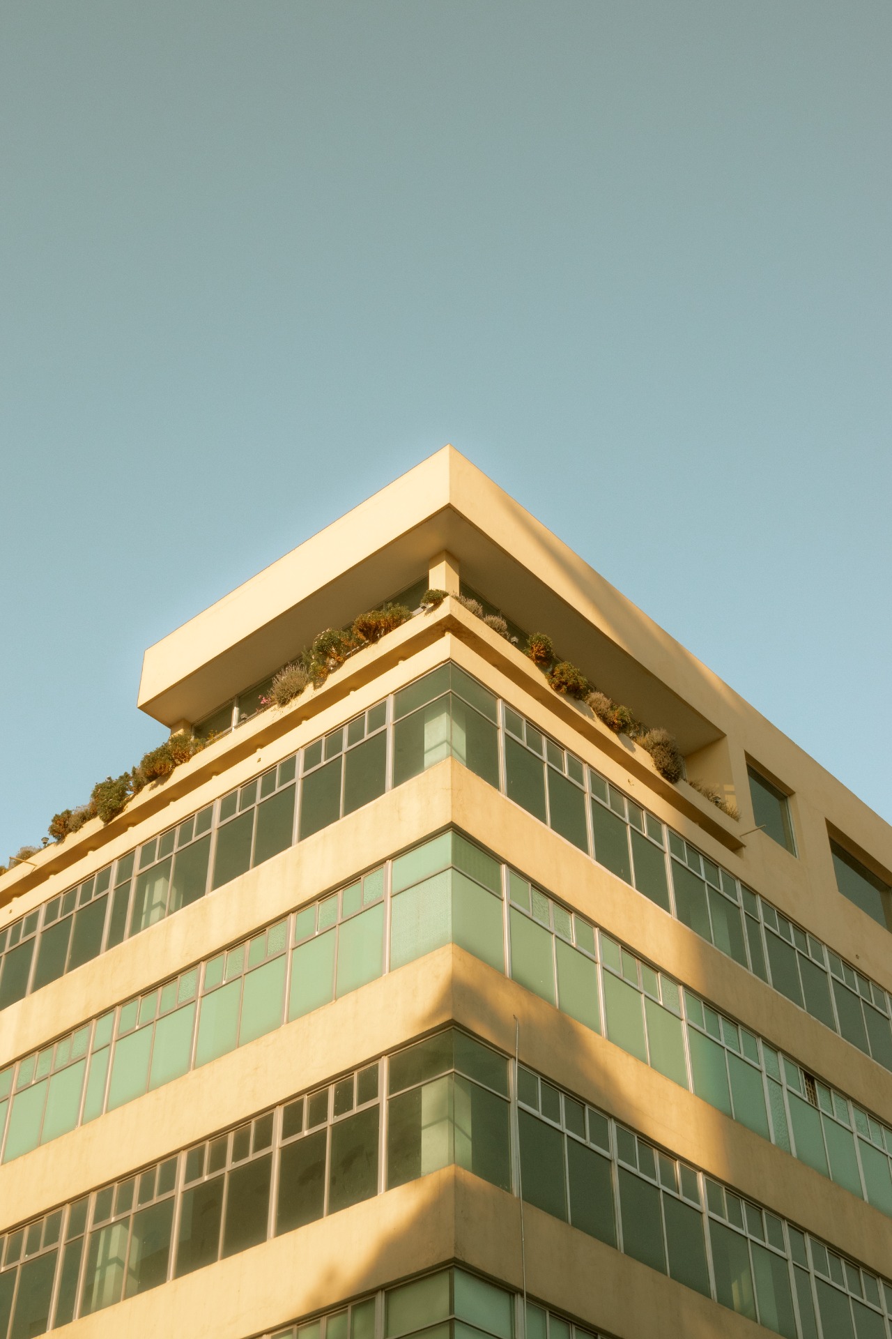 ILUMINACIÓN: Natural ÁNGULO DE TOMA: Normal TIPO DE CÁMARA: Nikon D5600 APERTURA: F/10 VELOCIDAD: 1/640s ISO: 500 LUGAR: Puebla FECHA DE CREACIÓN: 05/02/2023