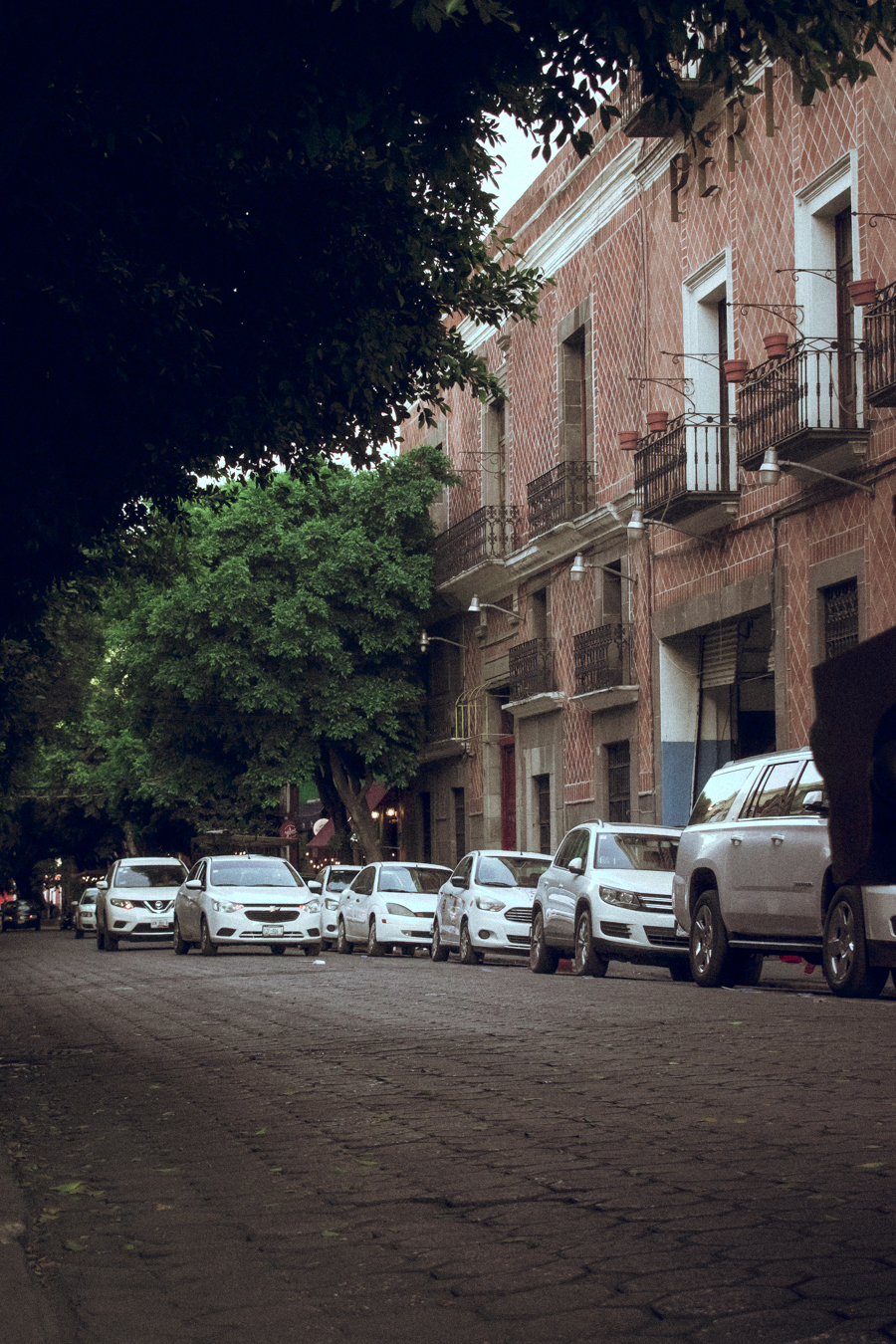 ILUMINACIÓN: Natural ÁNGULO DE TOMA: Normal TIPO DE CÁMARA: Nikon D5600 APERTURA: F/6.3 VELOCIDAD: 1/500s ISO: 640 LUGAR: Puebla FECHA DE CREACIÓN: 05/02/2023